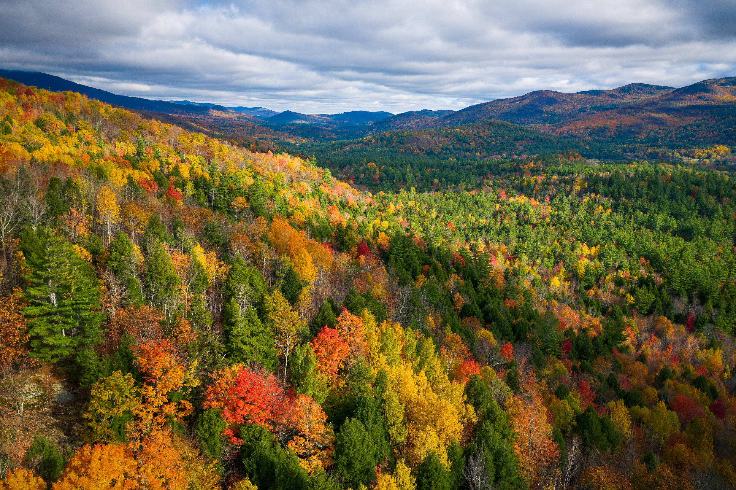 Learn more about forest bathing in the Adirondacks